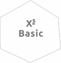 X5 Basic X5 Basic